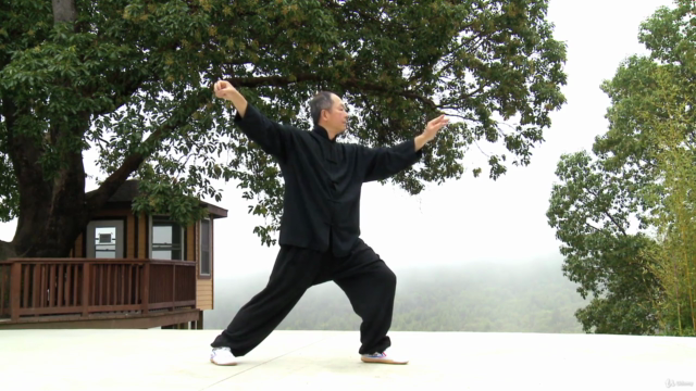 Yang Tai Chi for Beginners Part 1 with Dr. Yang, Jwing-Ming – Screenshot 3