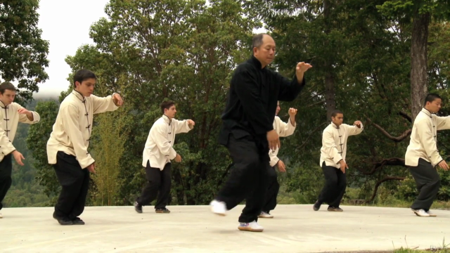 Yang Tai Chi 108 Form Parts 2 and 3 with Master Yang (YMAA) – Screenshot 1