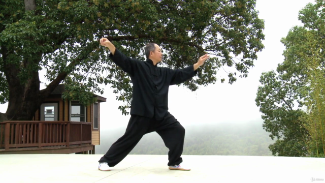 Yang Tai Chi 108 Form Parts 2 and 3 with Master Yang (YMAA) – Screenshot 3