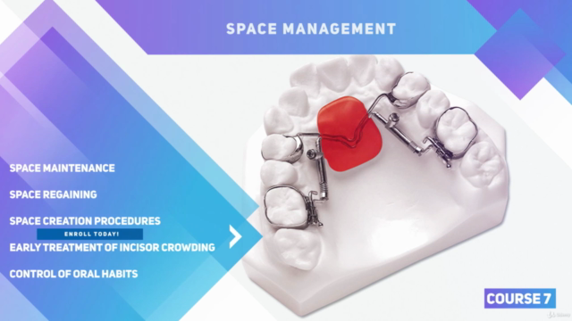 Management of the developing dentition orthodontic course – Screenshot 2