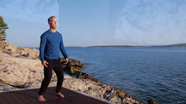 Qi Gong for Better Balance w Lee Holden: Prevent Falls 2024 – Screenshot 2