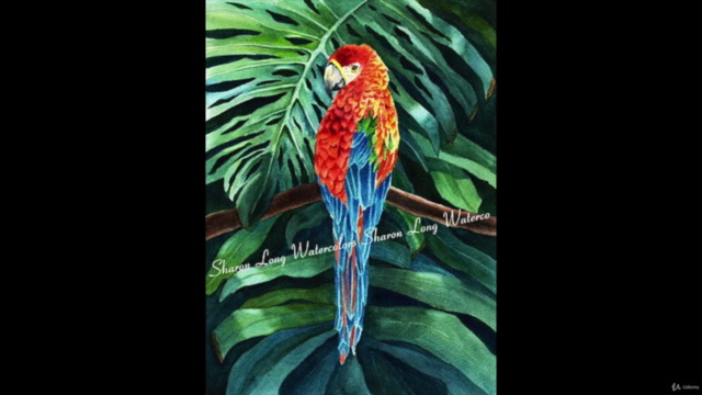 Learn to Paint Wonderful Watercolors with Sharon Long – Screenshot 4