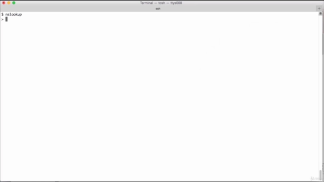Learn in and Out of DNS – Screenshot 2