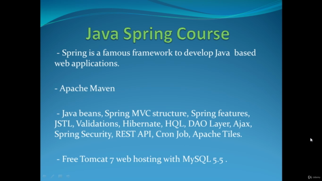 Java Spring MVC with Hibernate, Spring Security, MySQL – Screenshot 1