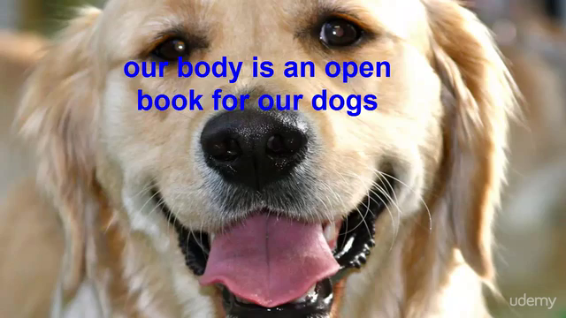 Dog body language. How To Read Your Dog's Body Language – Screenshot 2