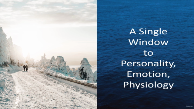 A single Window to Personality, Emotion, Physiology - Screenshot_01