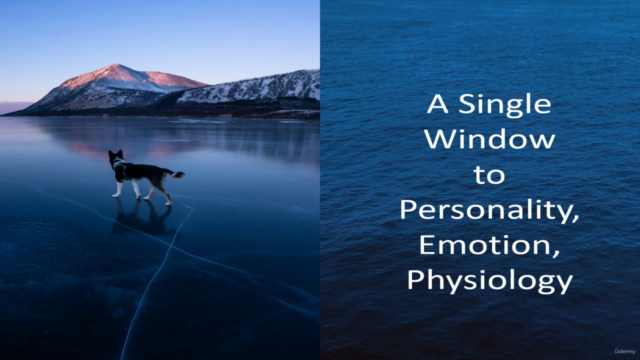 A single Window to Personality, Emotion, Physiology - Screenshot_02