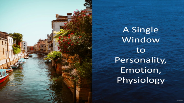 A single Window to Personality, Emotion, Physiology - Screenshot_03