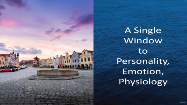 A single Window to Personality, Emotion, Physiology - Screenshot_04