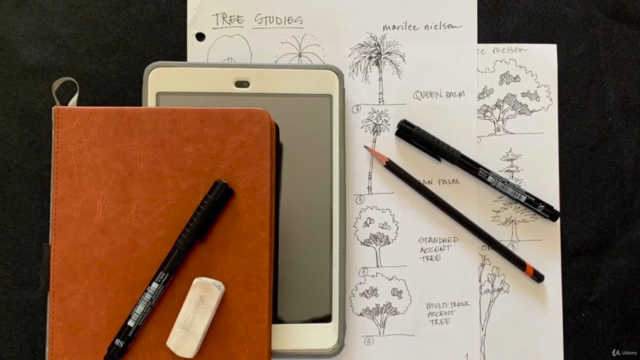 Traveler's Urban Sketchbook 2: Drawing Landscapes – Screenshot 4