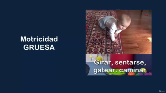 Estimulación Temprana para Bebés – Screenshot 3