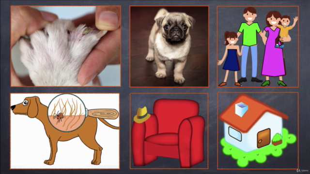DOG Fleas & Ticks NATURAL HOME REMEDIES + CERTIFICATE – Screenshot 1