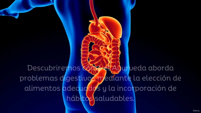 Descubre Ayurveda: Tu Camino a la Salud y Bienestar Integral – Screenshot 3
