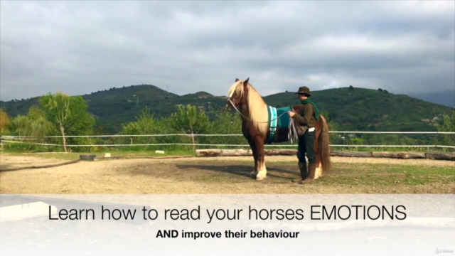Emotional Horsemanship Foundation Course – Screenshot 2
