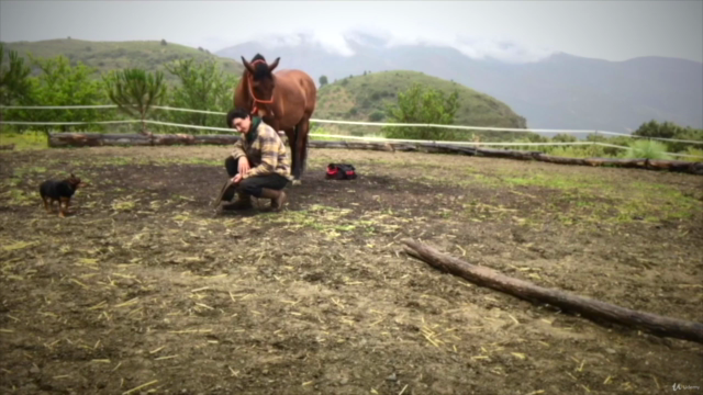 Emotional Horsemanship Foundation Course – Screenshot 4