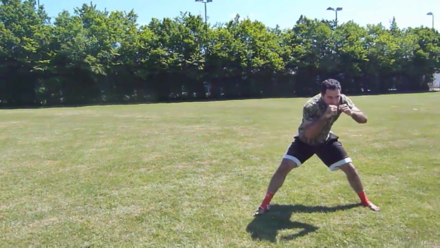 Ultimate Pro Kicking Evolution Certification Masterclass – Screenshot 2