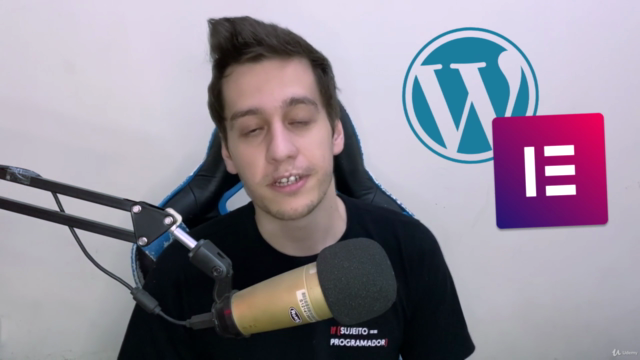 WordPress Elementor - Criando sites profissionais do zero – Screenshot 1