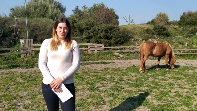 Be a Horse Riding Coach - How to Teach Others Horsemanship – Screenshot 1