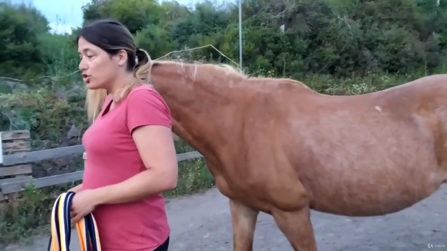 Be a Horse Riding Coach - How to Teach Others Horsemanship – Screenshot 2