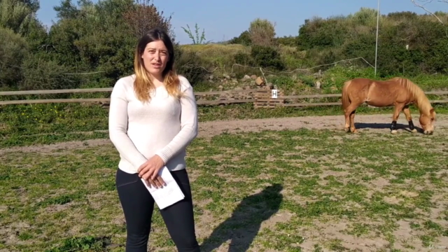 Be a Horse Riding Coach - How to Teach Others Horsemanship – Screenshot 3