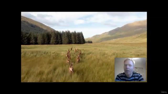The Passive Income Strategy ( NEW And Updated ) – Screenshot 1
