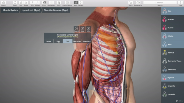 Medical Anatomy – Screenshot 4