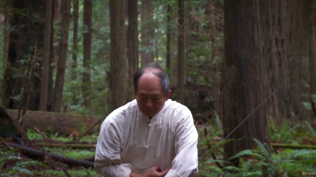 Tai Chi Sword Form and Qigong with Dr. Yang Jwing-Ming -YMAA – Screenshot 1