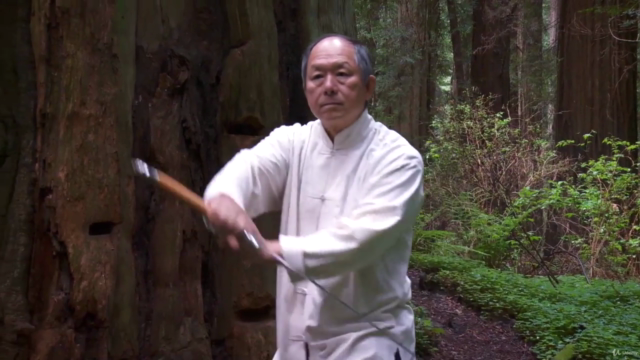 Tai Chi Sword Form and Qigong with Dr. Yang Jwing-Ming -YMAA – Screenshot 2