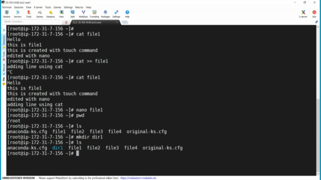 Linux for Cloud & DevOps Engineers – Screenshot 2