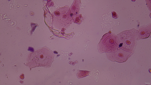 Laboratorio clínico I: Q. Clínica, Hematología y Uroanálisis – Screenshot 4