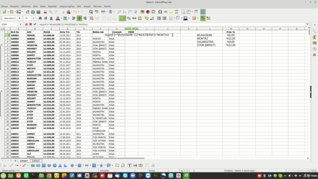 Libreoffice Excel Eğitimi – Screenshot 2