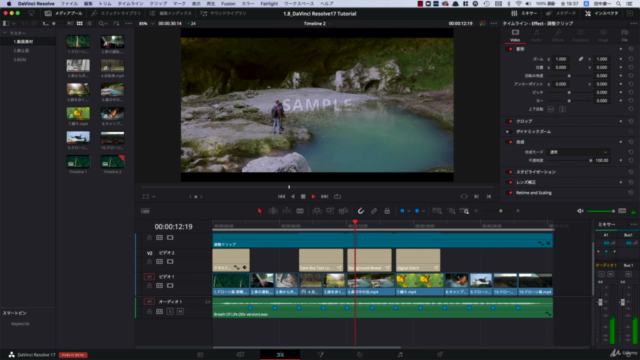 DaVinci Resolve はじめての動画編集 オンライン講座 エディットページ編 – Screenshot 4