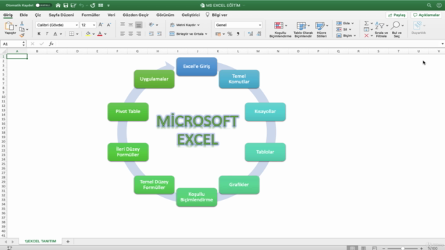 MS Excel : Profesyonel Excel Kullanıcısı Olun! – Screenshot 1