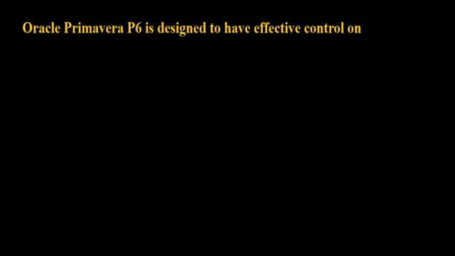 Oracle Primavera P6 – Screenshot 1