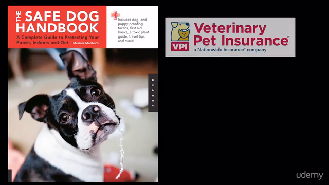 Dog CPR, First Aid + Safety for pet pros + dedicated owners – Screenshot 2