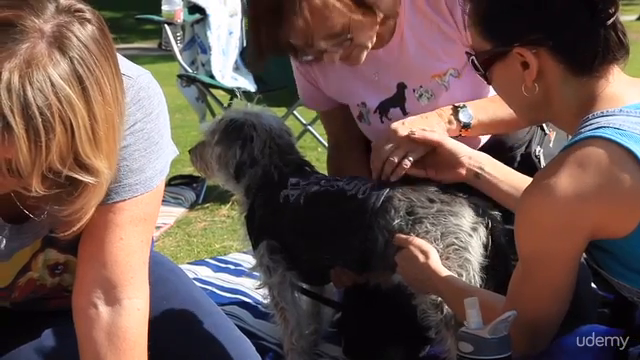 Dog CPR, First Aid + Safety for pet pros + dedicated owners – Screenshot 4