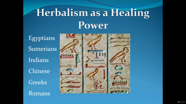 Natural & Vegan Pharmacy Using Herbalism and Aromatherapy – Screenshot 2