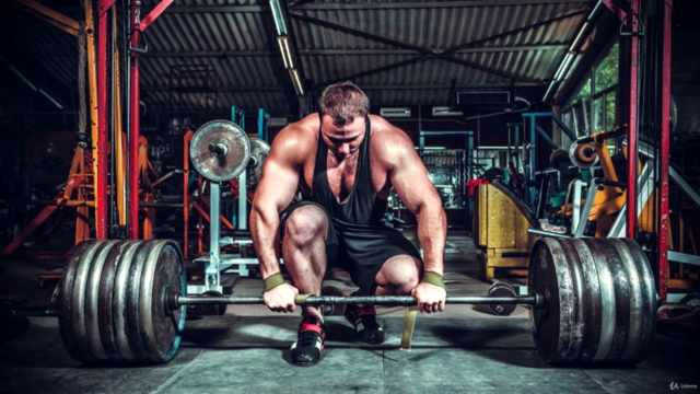 Crea tu Propio Plan de Entrenamiento de Forma Rápida – Screenshot 1