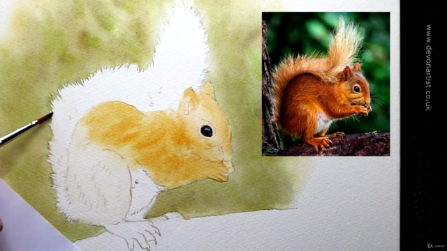 Watercolour Wildlife Painting - How To Paint a Red Squirrel – Screenshot 2