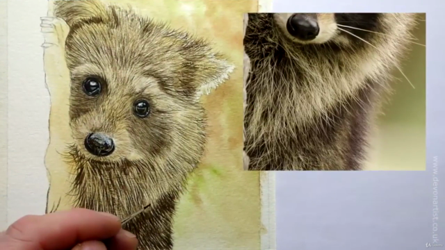 How To Paint a Realistic Raccoon in Watercolor | Paint Fur! – Screenshot 2