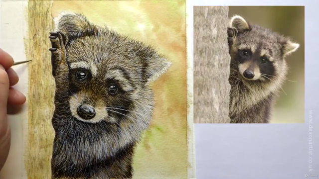 How To Paint a Realistic Raccoon in Watercolor | Paint Fur! – Screenshot 4