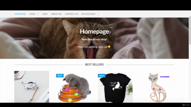 Build an Online Aliexpress Dropshipping Store – Screenshot 2