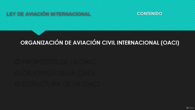 LEY DE AVIACIÓN INTERNACIONAL PÚBLICA – Screenshot 4