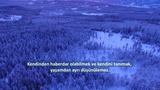 Yedi Vadi Sufi Öğretisi – Screenshot 3