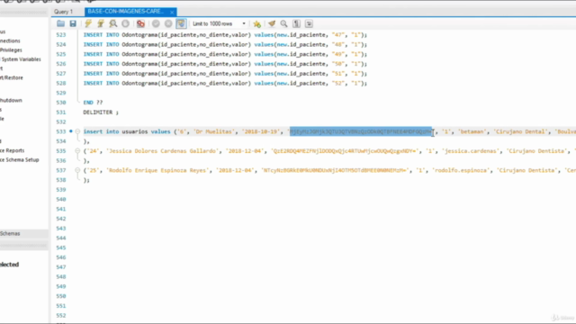 Visual Basic - VB.NET- Visual Studio 2019 - MySQL – Screenshot 3
