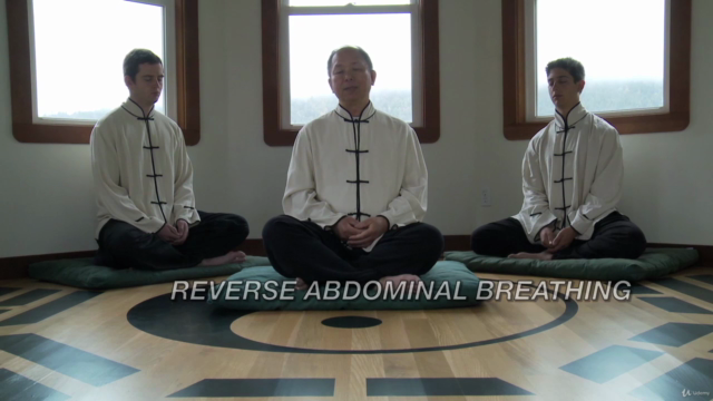 Qigong Meditation: Guided Meditation w Dr. Yang, Jwing-Ming – Screenshot 1