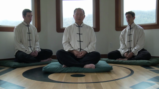 Qigong Meditation: Guided Meditation w Dr. Yang, Jwing-Ming – Screenshot 3