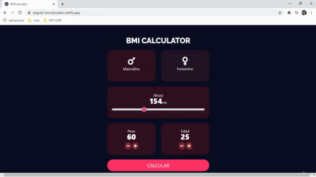 Angular 14 - La Guia Completa + 15 Proyectos – Screenshot 2