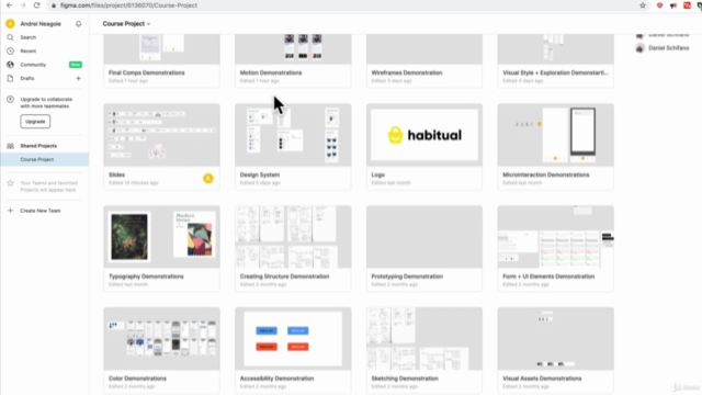 Complete Web & Mobile Designer: UI/UX, Figma, +more – Screenshot 1