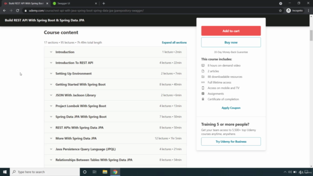 Build REST API with Spring Boot & Spring Data JPA – Screenshot 1